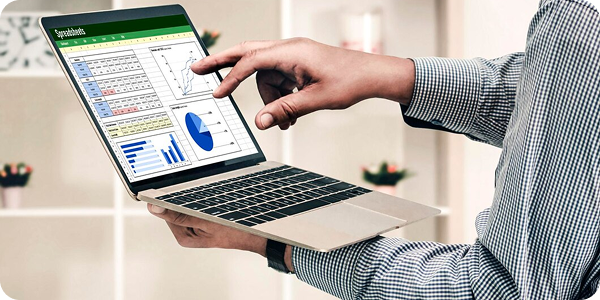 Tax Software Interface